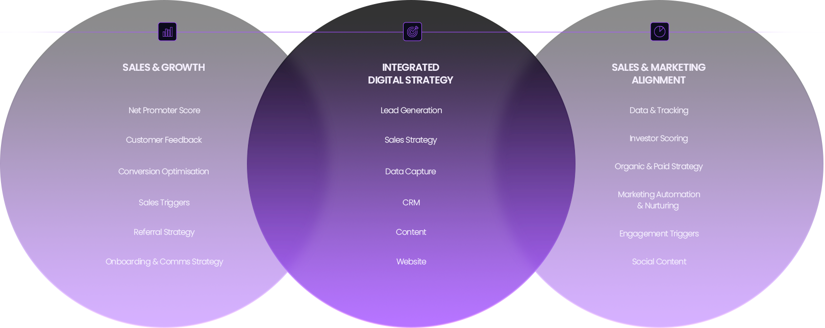 IntegratedDigitalStrategy-Asset